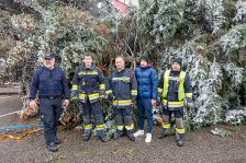 19.11.2022 Christbaum für die Kremser Feuerwehr